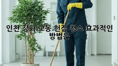 인천 강화 교동 헌집 청소, 효과적인 방법은?