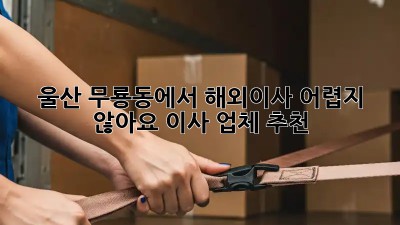 울산 무룡동에서 해외이사, 어렵지 않아요! 이사 업체 추천
