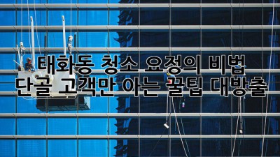 ✨ 태화동 청소 요정의 비법 🧚‍♀️: 단골 고객만 아는 꿀팁 대방출!